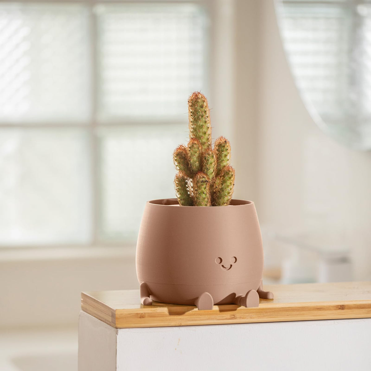 TOPOLA Self-watering design extends hydration up to two weeks, ideal for busy owners.