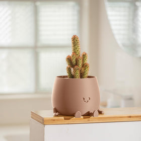 TOPOLA Self-watering design extends hydration up to two weeks, ideal for busy owners.
