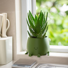 Topola Happy Face Planter self-watering channel helps keep soil evenly moist between fills