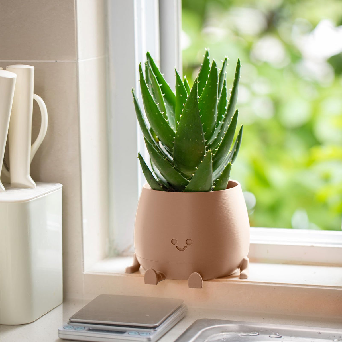 TOPOLA Succulent focus: perfect size for small plants like succulents, cacti, or herbs.