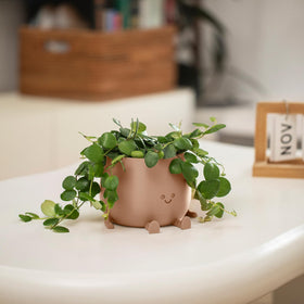 TOPOLA Gift-ready planter serves as a playful surprise for plant lovers.