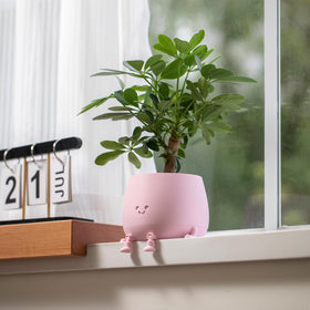 TOPOLA Compact 5.2 inch pot fits succulents and small herbs beautifully.