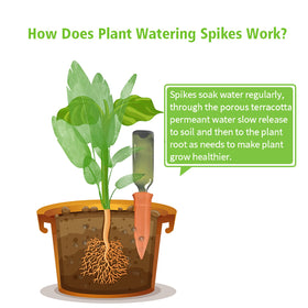 TopSome terra cotta spikes auto-watering soil-release for vacation plant care