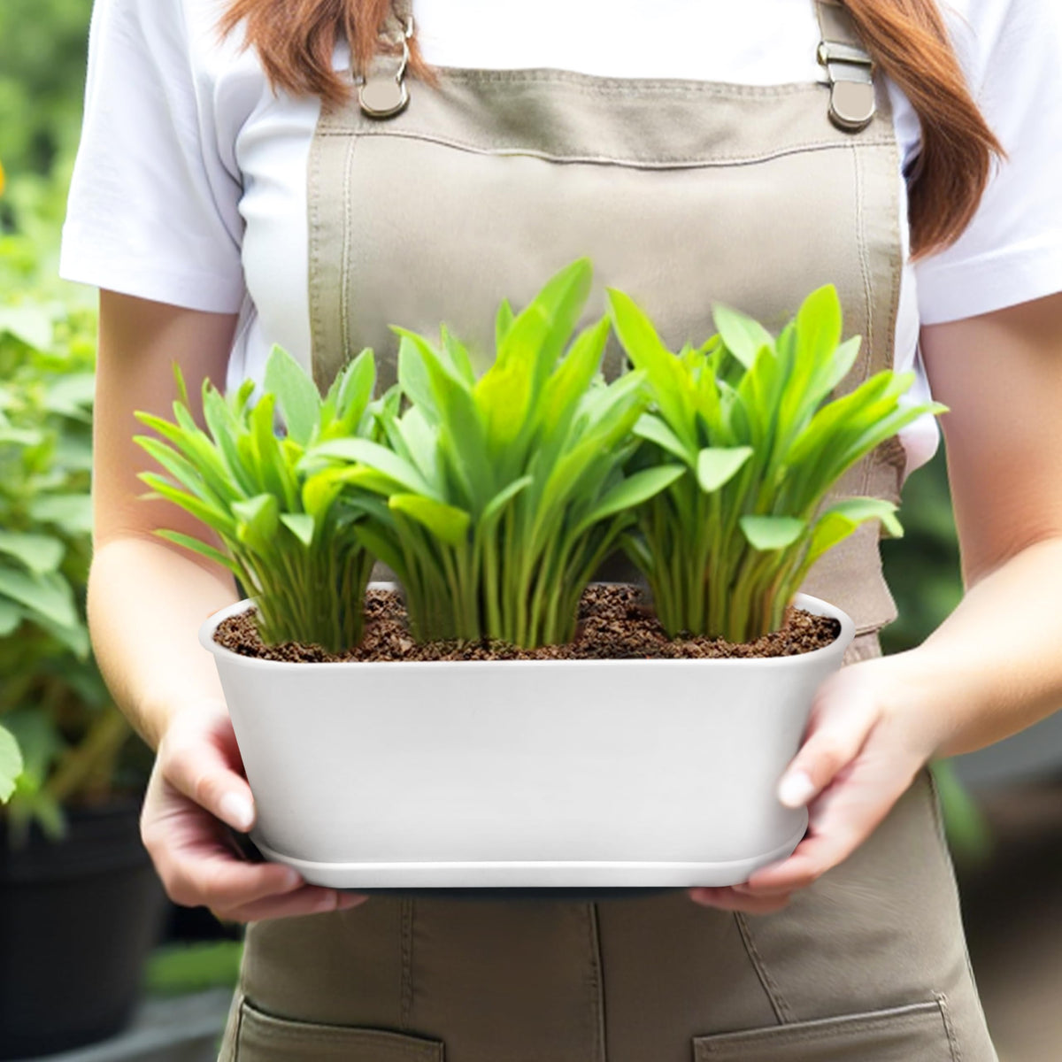 White rectangular Torfican planters with drainage holes to keep surfaces clean.