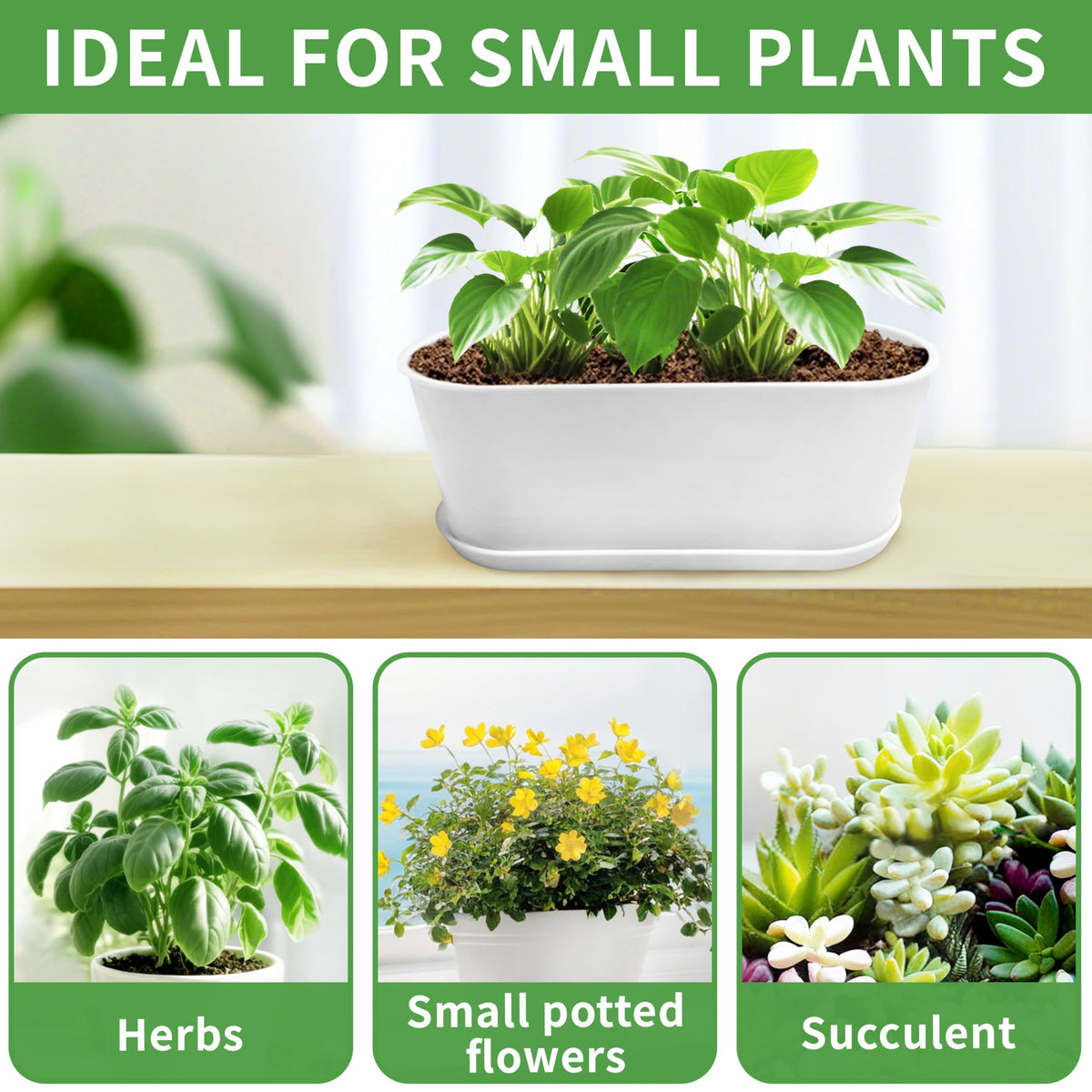 DIY-ready Torfican planter surface inviting personalization with paint.