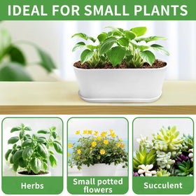 DIY-ready Torfican planter surface inviting personalization with paint.