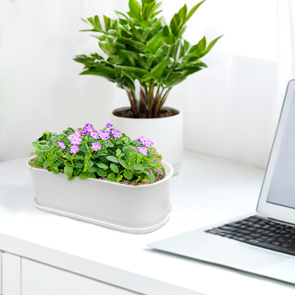 Torfican planter displayed on a windowsill to brighten a workspace.