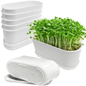Torfican window planter box with an 8.5-inch opening, ideal for herbs on a sunny windowsill.
