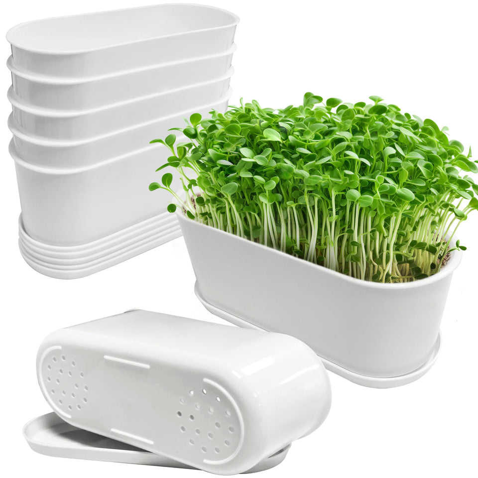 Torfican window planter box with an 8.5-inch opening, ideal for herbs on a sunny windowsill.