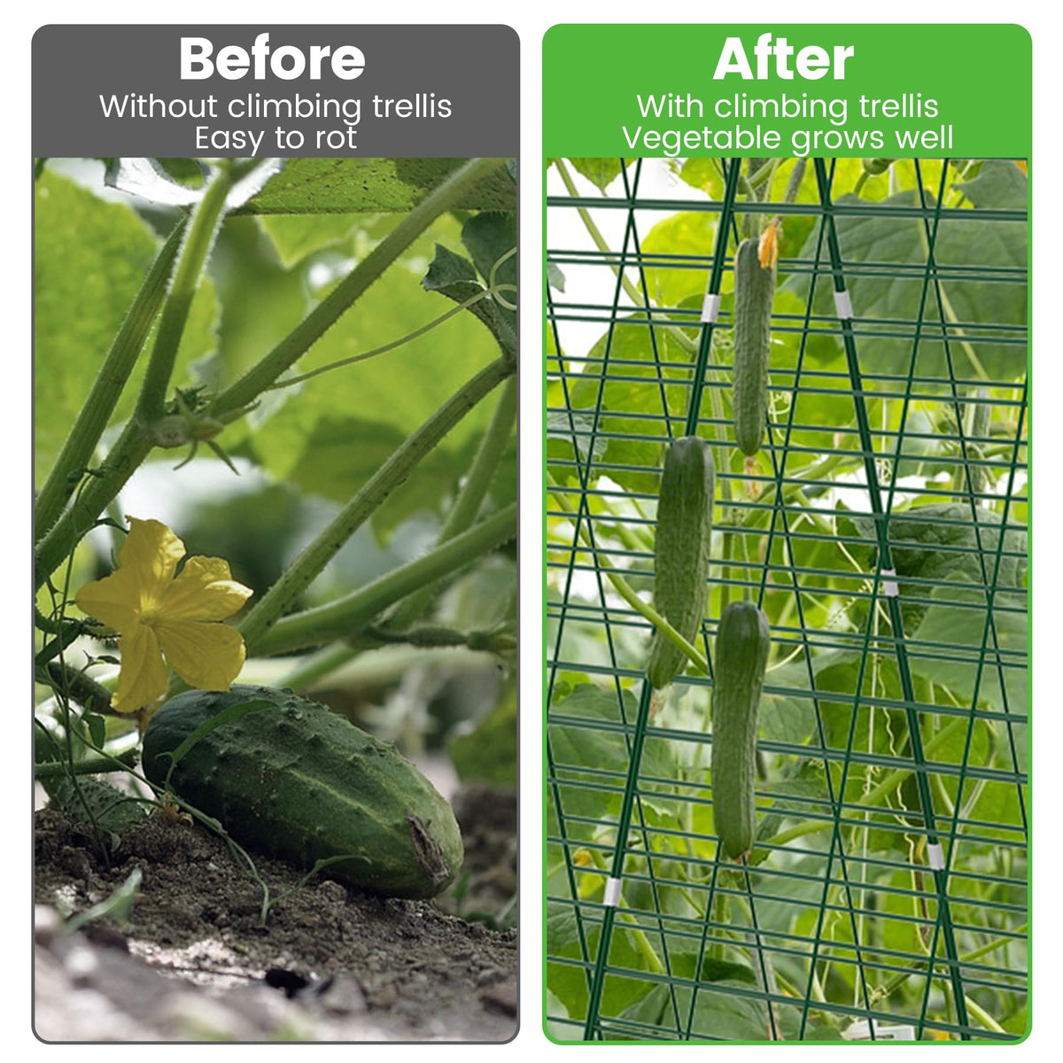 Toriexon cucumber trellis twist ties and clips ready for vine management.