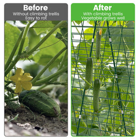 Toriexon cucumber trellis twist ties and clips ready for vine management.