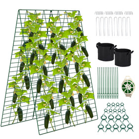 Toriexon cucumber trellis unfolded in the garden for space-saving plant support.