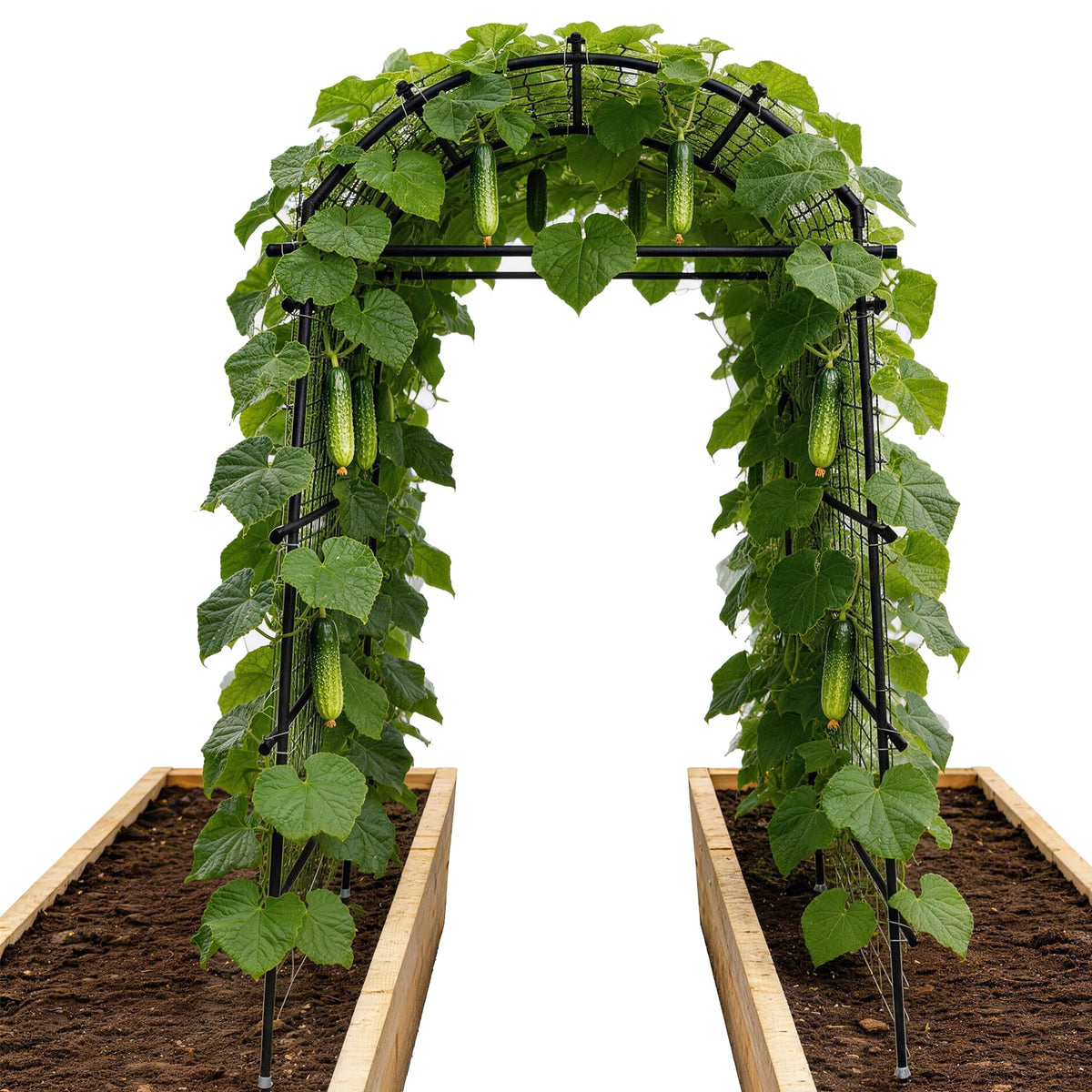 Toriexon garden arch trellis tall 7.4ft for climbing plants and easy garden access.