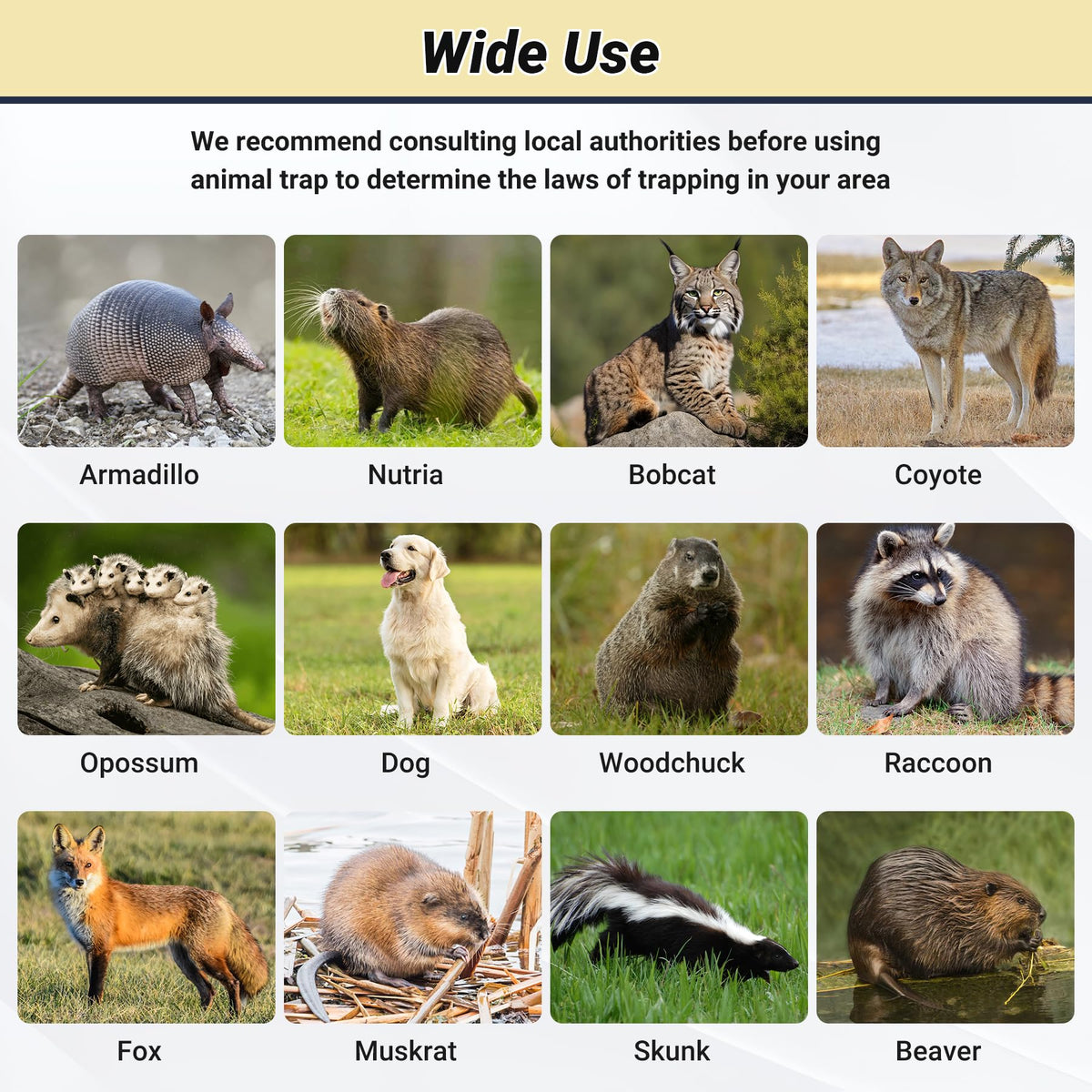 Toriexon Humane Large Animal Trap ready-for-use image illustrates quick setup