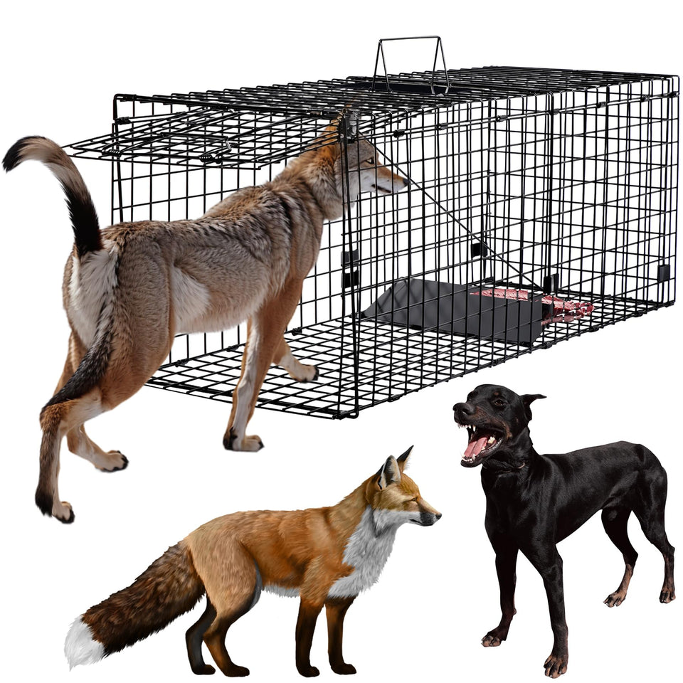 Toriexon humane large trap assembled side view for confident setup and secure capture.
