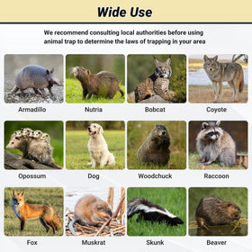 Toriexon humane large trap wide-animal-range supports multi-species use.