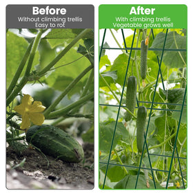 Toriexon twist ties and connectors enable quick training of vine growth