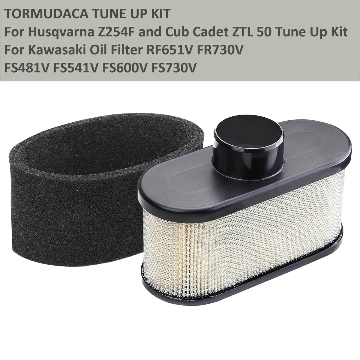 Tormudaca spark plugs promote reliable ignition and starts