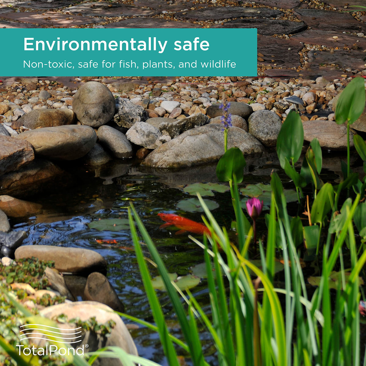 TotalPond black tubing hides visible hoses for clean garden pond aesthetics.