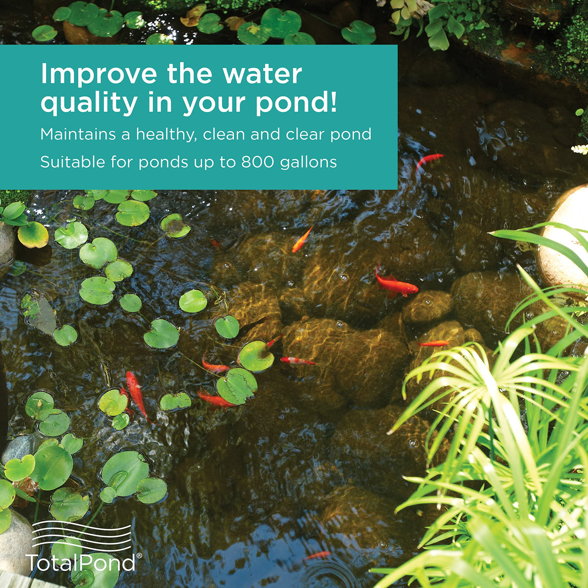 TotalPond complete pond filter side view fits tight spaces while delivering robust filtration.