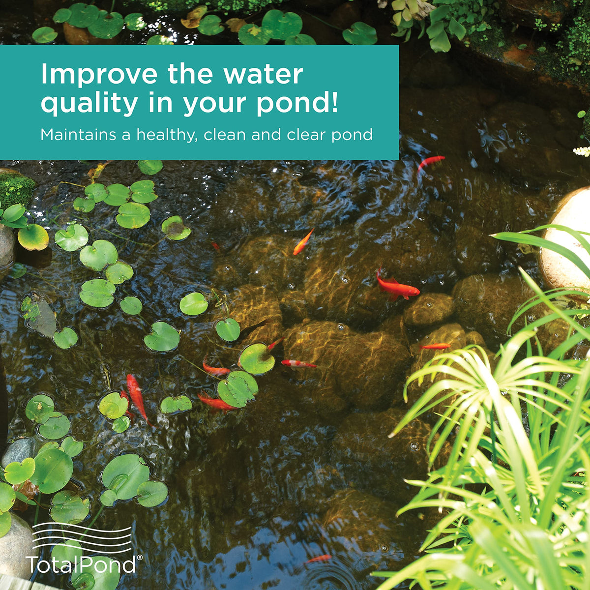 TotalPond Universal Pump Filter Box showing fine filter pad catching small debris