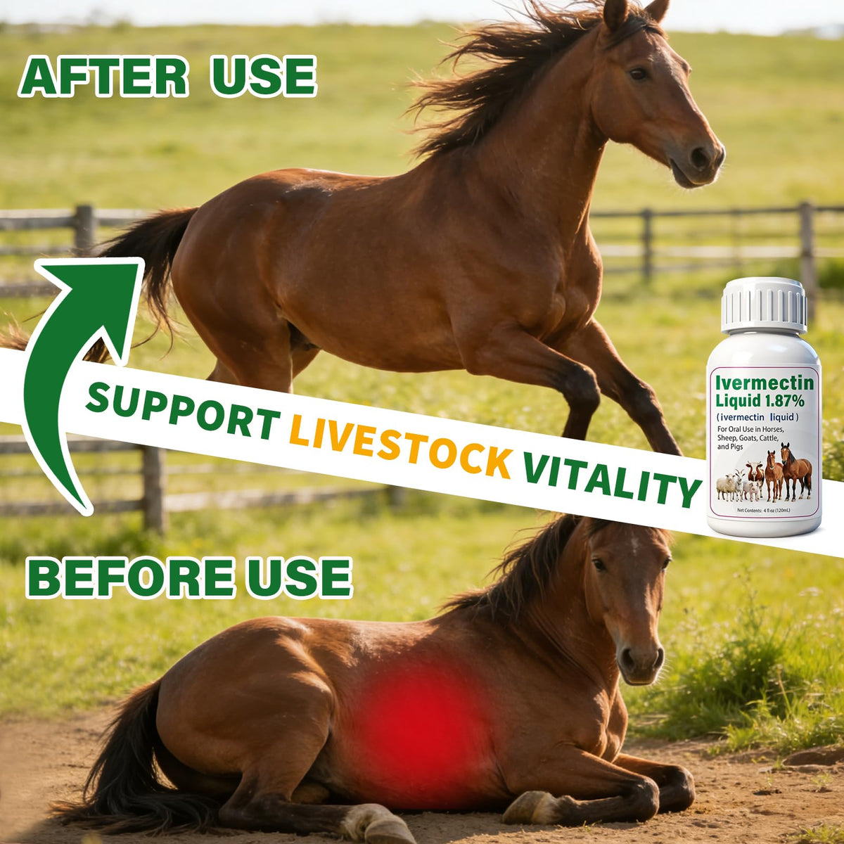 Totoketty ivermectin liquid dosing on feed scene in a busy barn.