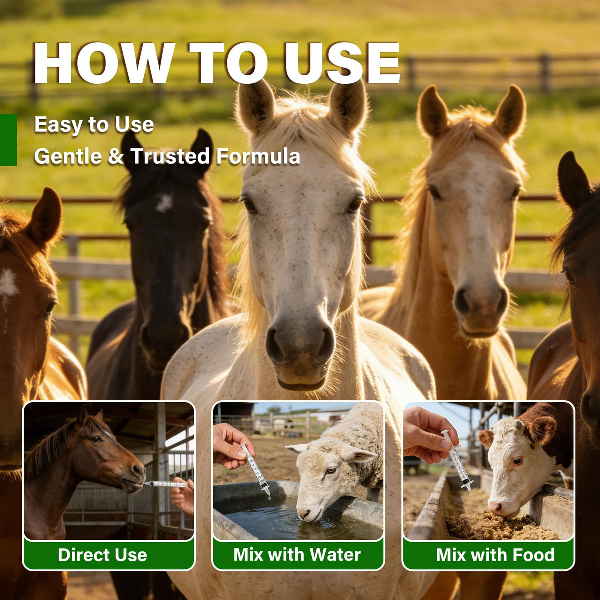 Totoketty ivermectin liquid on a stable shelf for versatile livestock care.