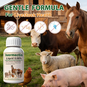 Totoketty Ivermectin Liquid measuring syringe for precise dosing