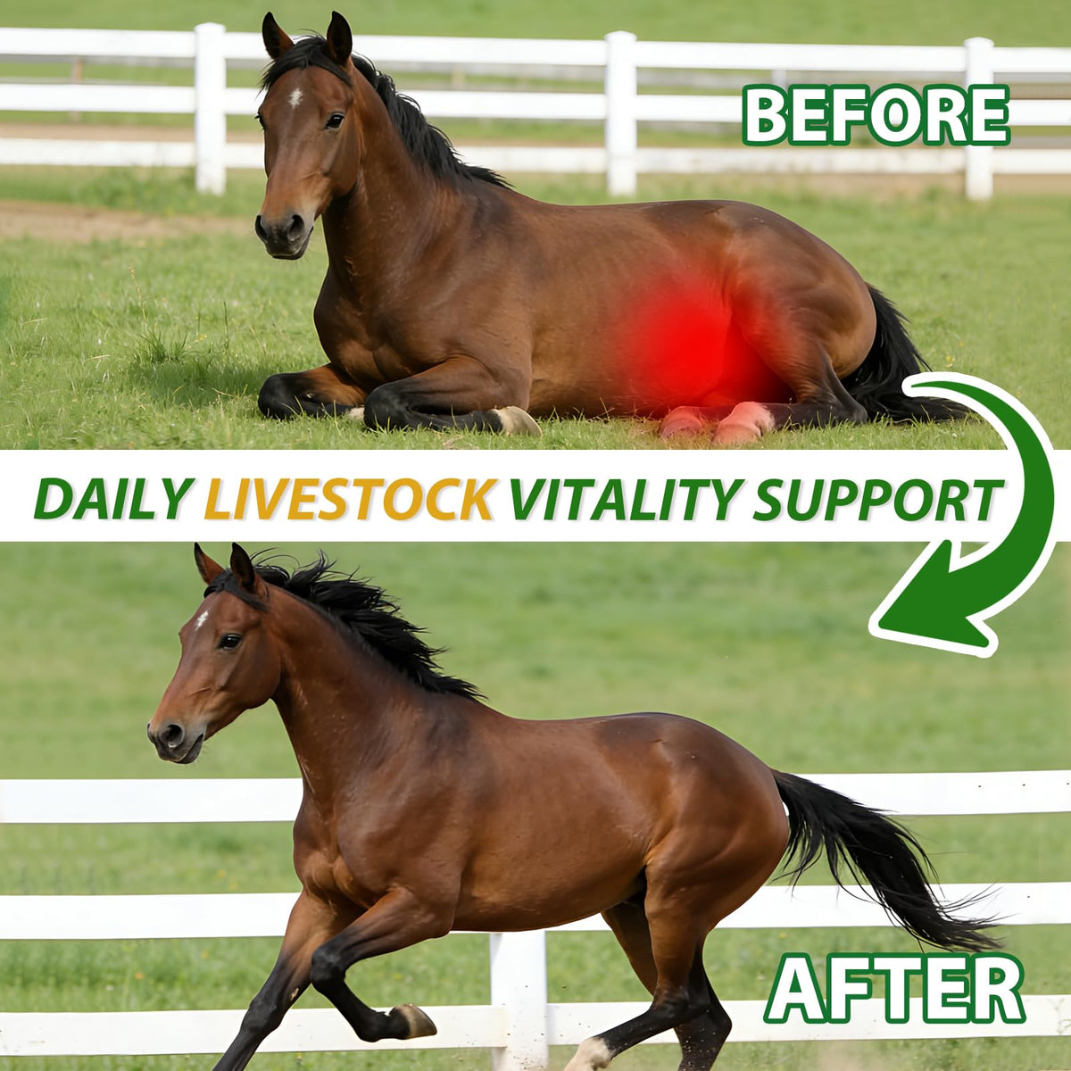 Totoketty Ivermectin Liquid used with water for flock dosing
