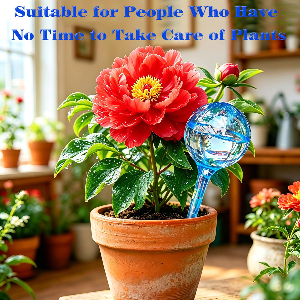 TOTYAO self-watering globes in use near soil, automatic moisture delivery.