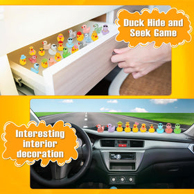 Touch Top ducks endure humid setups in aquariums and terrariums.
