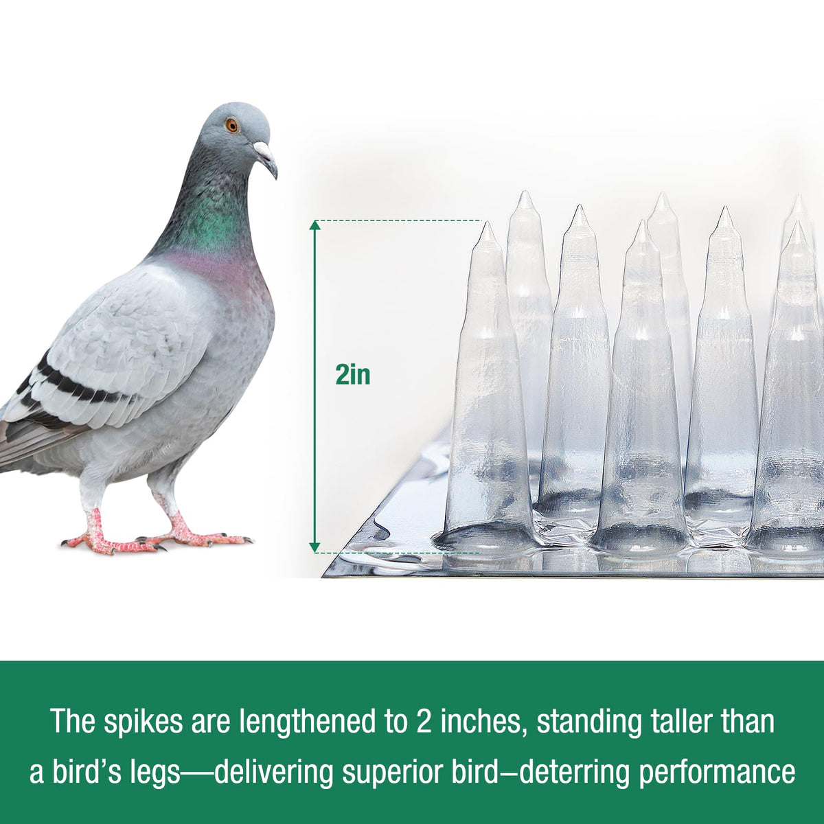 Touri clear PVC spikes on a ledge blend with surface while deterring perching