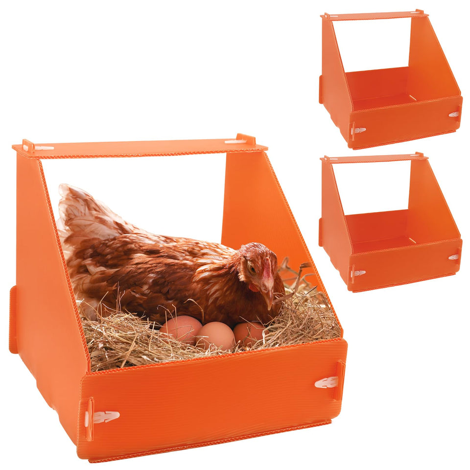 Touri orange chicken nesting box 3-pack enhances hen comfort and visibility.