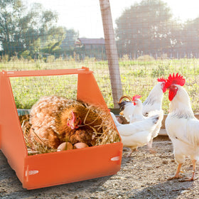 Touri orange color boosts visibility in the coop.