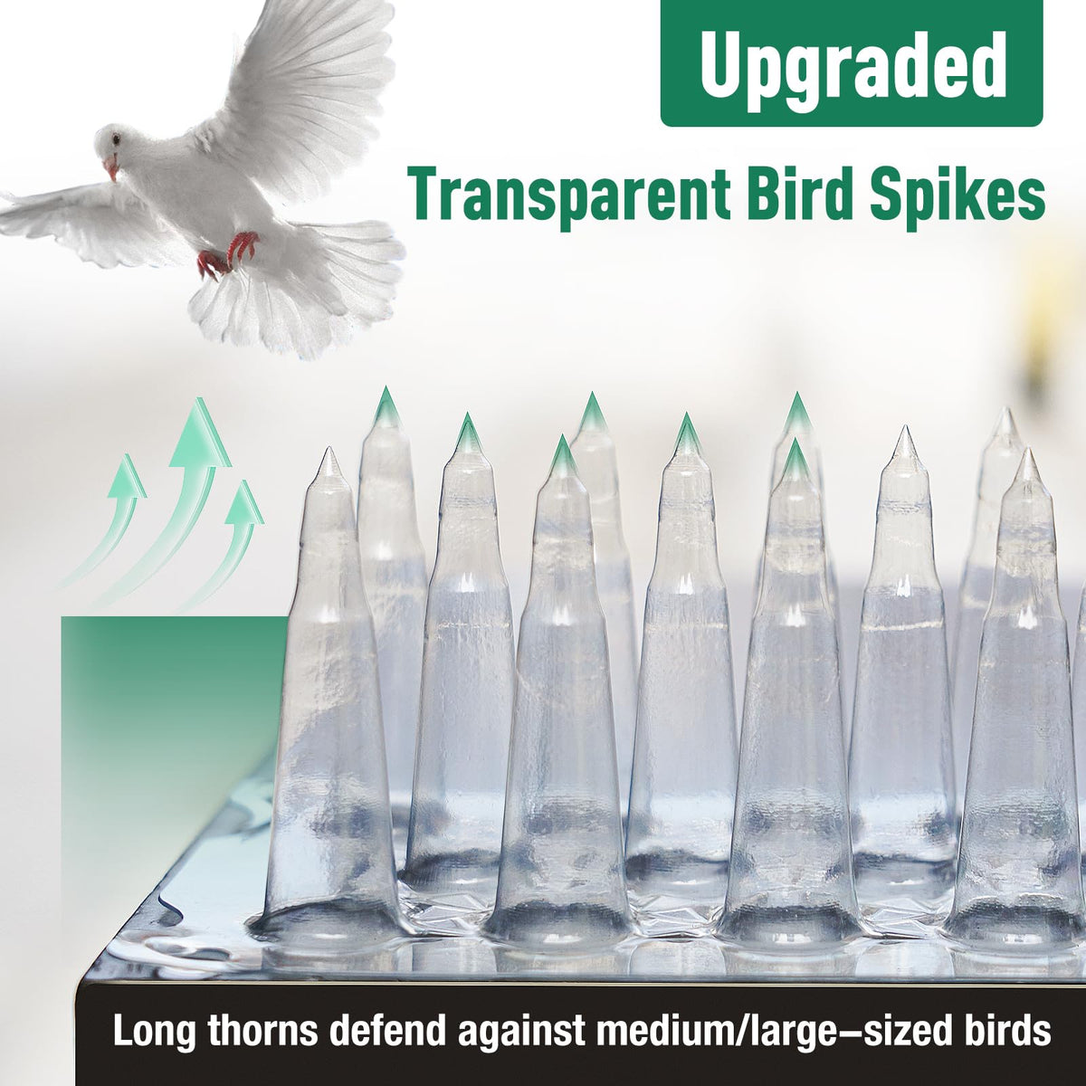 Touri spikes installed on a windowsill prevent nesting and droppings