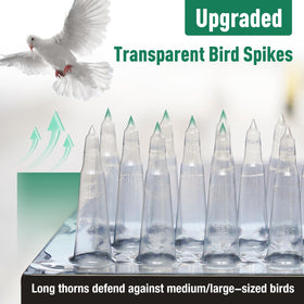 Touri spikes installed on a windowsill prevent nesting and droppings