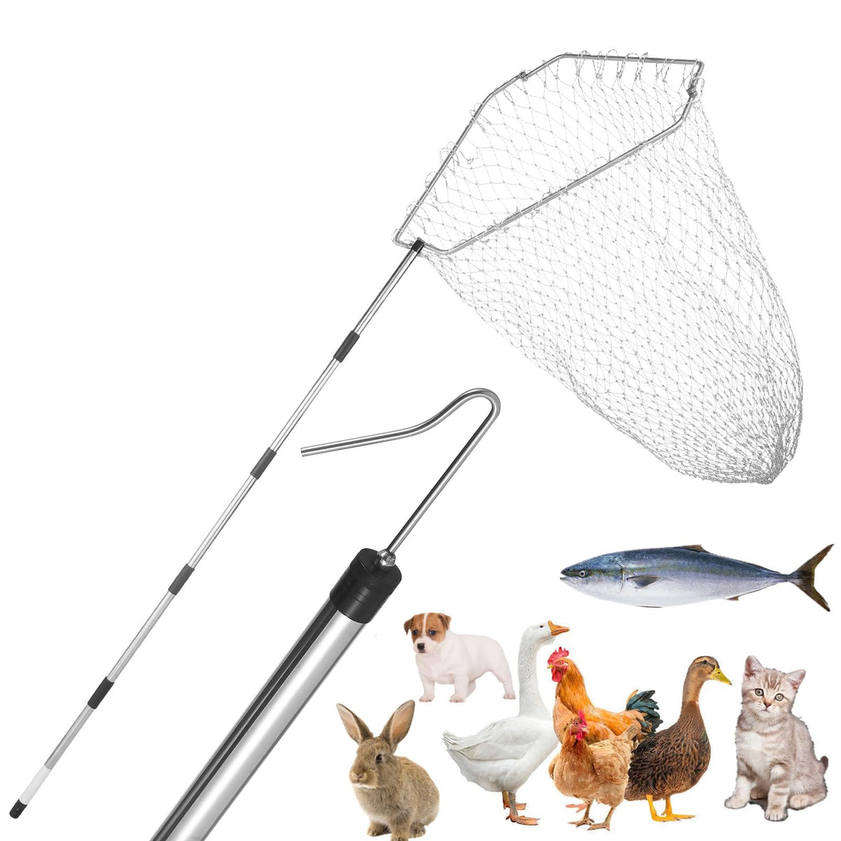 TOXYMHO chicken catcher with adjustable rod for extended reach and safer handling.