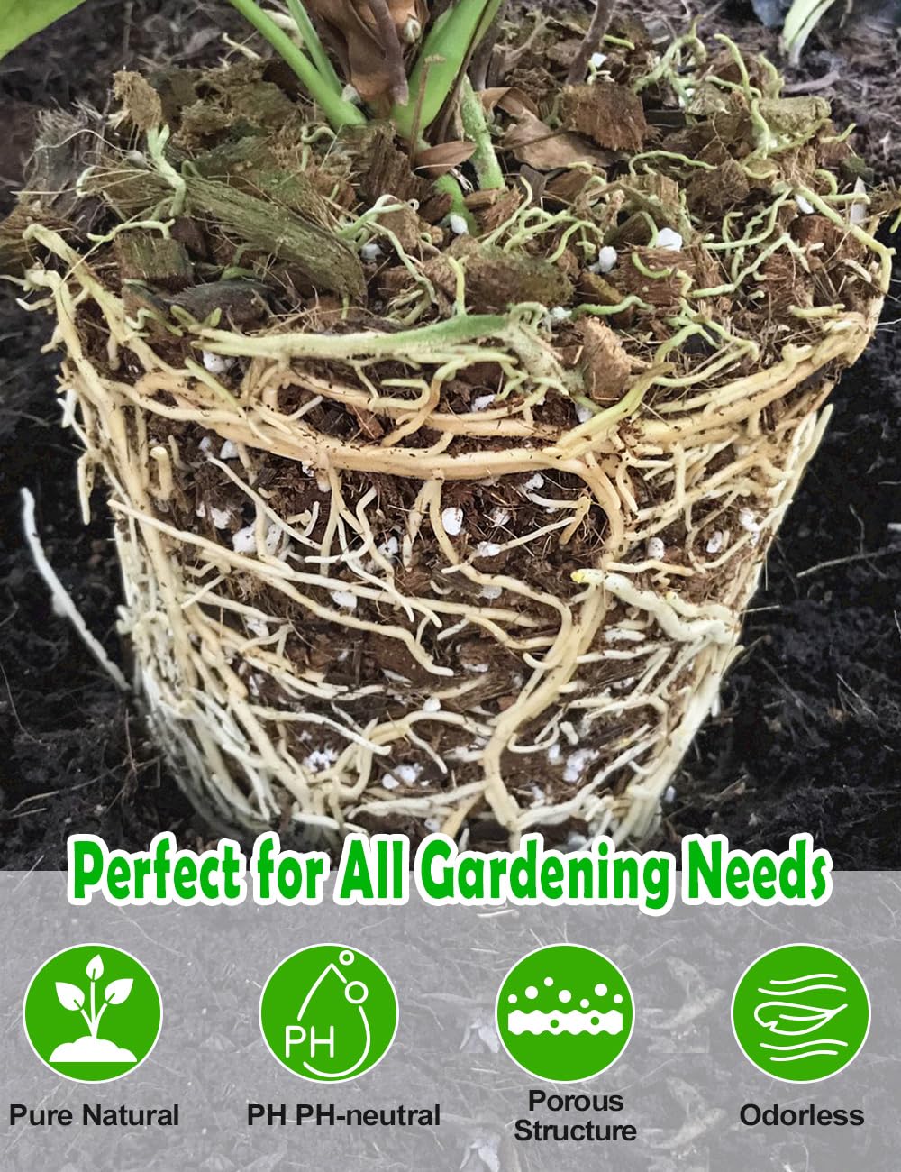 TOYPOPOR Perlite porosity prevents soil compaction and improves airflow.
