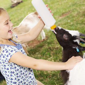 TOYANDONA durable plastic goat feeder designed for frequent washing and long use