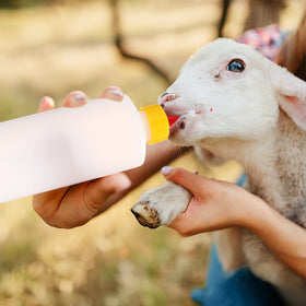 TOYANDONA goat milk nipples 5pcs for versatile feeding options across animals