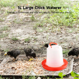 Toyosport poultry drinker with handle for easy relocation between coops.