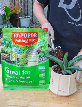 TOYPOPOR all-in-one potting mix ideal for cacti, succulents, herbs