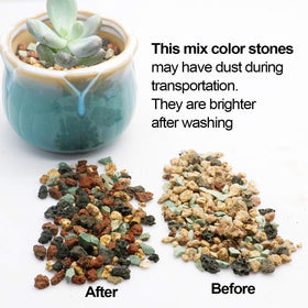 TOYPOPOR cactus decorative gravel for terrariums and vibrant top dressing.