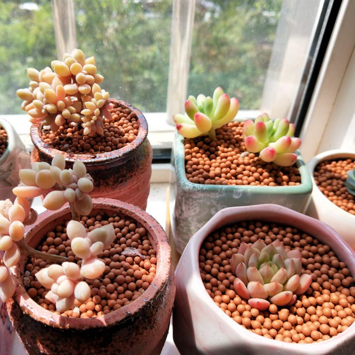 TOYPOPOR ceramsite for hydroponics and aquaponics applications