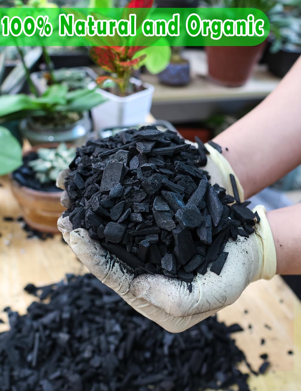 TOYPOPOR charcoal porous structure closeup showing air-filled pores for aeration.