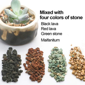 TOYPOPOR DIY terrarium setup with vibrant colors and mineral-rich stones.