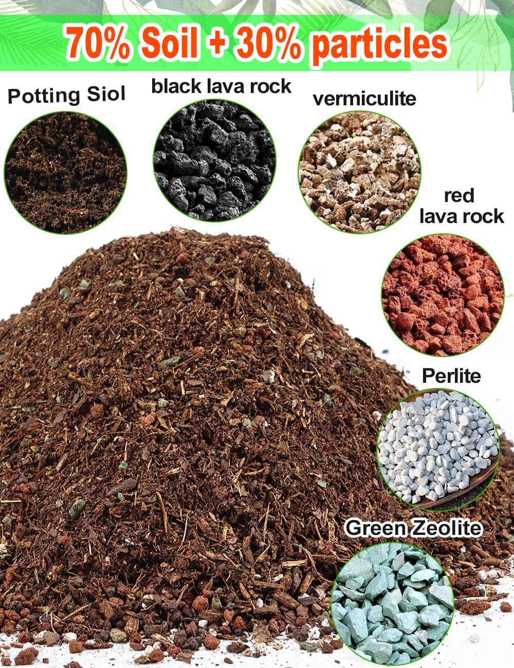 TOYPOPOR high drainage succulent mix helps keep roots dry between waterings.