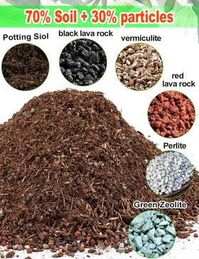 TOYPOPOR high drainage succulent mix helps keep roots dry between waterings.