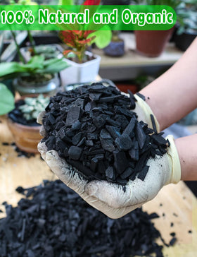 Porous structure of TOYPOPOR charcoal enhances soil aeration around orchid roots