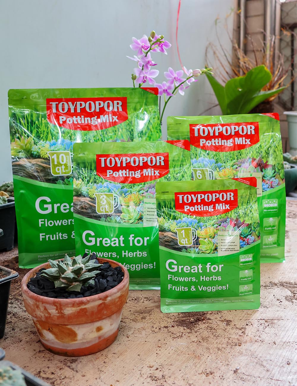 TOYPOPOR porous charcoal as an eco-friendly soil amendment for plants